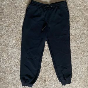 Aritzia Wilfred Dress Pant Jogger